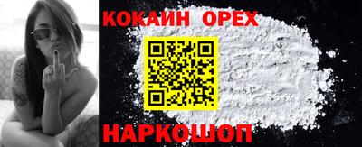 стафф Кандалакша