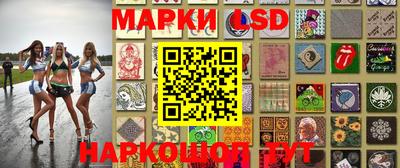 стафф Кандалакша