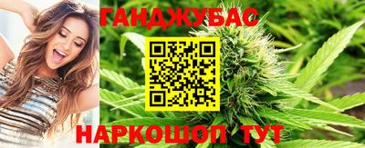 ешки Кингисепп